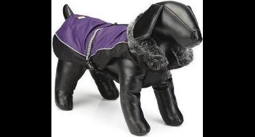 Beeztees Nano hondenjasje aspen - Paars 25 cm