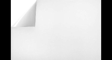 Raamfolie statisch-anti inkijk-45cmx20mtr. wit