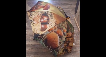 Paraplu herfst bladeren paddenstoelen en pompoen van Esschert design