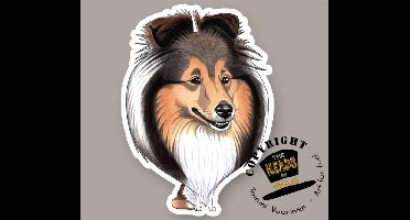 Magneet Hond Shetland Sheepdog