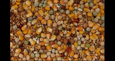 Wielink Allround Mix 25 kg