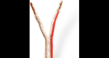 Nedis Speaker-Kabel - 2 x 4.00 mm² - CCA - 100.0 m - Rond - PVC - Transparant - Folieverpakking