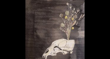 Steve Gunn & Black Twig Pickers - Seasonal Hire (CD)