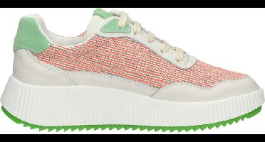 Palpa Veterschoenen Laag Veterschoenen Laag - Groen - Maat 37