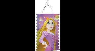 Amscan Lampion Disney Princess 28 Cm Roze