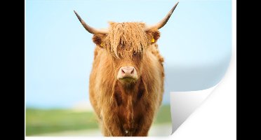 Muurstickers - Sticker Folie - Schotse hooglander - Haar - Gras - 30x20 cm - Plakfolie - Muurstickers Kinderkamer - Zelfklevend Behang - Zelfklevend behangpapier - Stickerfolie