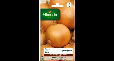 Ajuin Rijnsburger