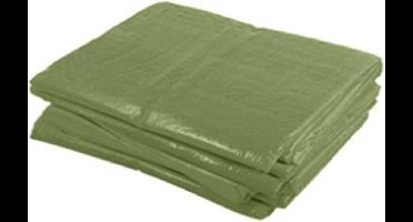 Cover Dekkleed PE Economy groen 100 gr/m² 10,00x12,00m