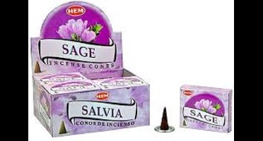 HEM Wierook Kegel Salvia (12 pakjes)
