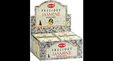 HEM Wierook Kegel Precious Jasmine (12 pakjes)