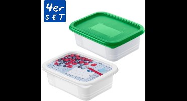 Rotho Domino Diepvriesdozen Etiket Decor 4x0.5L Wit