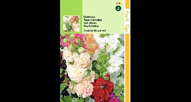 2 stuks Hortitops Althaea Rosea Fl.Pl. Chater S Gemengd