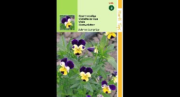 2 stuks Hortitops Viola Cornuta Johnny Jump Up Helen Mount