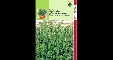 2 stuks Echte Tijm,  Wintertijm  (Thymus vulgaris)