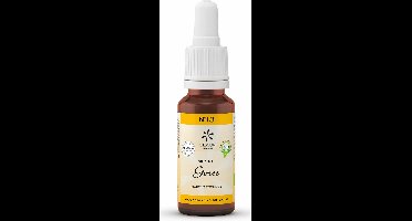 Bachbloesem Bio N°13 Gorse 20ml
