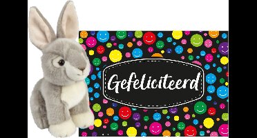 Pluche knuffel cadeau Konijn 18 cm met A5-size Gefeliciteerd wenskaart - Verjaardag cadeau opsturen - Jongen/meisje