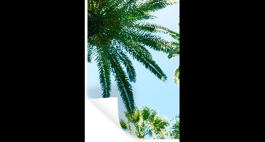 Muurstickers - Sticker Folie - Palmbladeren - Lucht - Zomer - Tropisch - 20x30 cm - Plakfolie - Muurstickers Kinderkamer - Zelfklevend Behang - Zelfklevend behangpapier - Stickerfolie