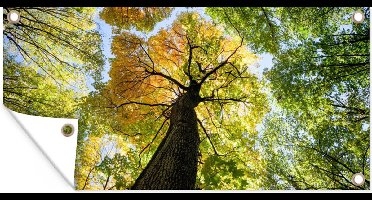 GreatGardenPosters - Tuinposter natuur - Boom - Bladeren - 200x100 cm - Tuinschilderij - Schutting - Muurdecoratie - Wanddecoratie - Tuindoek - Buitenposter