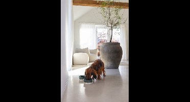 Designed By Lotte Hondenvoerbak Joa Groen - Hondenvoerbak - Ø16x6 cm