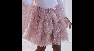 Tutu Roze & Zilver - 3-5 jaar