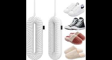 Elektrische schoenendroger, draagbare schoenwarmer, elektrische schoenendroger, skischoendroger met timer, voor schoenen, handschoenen, sokken, skischoenen