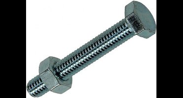 Mack TAPBOUT + MOER VERZINKT 30ST M6 X40MM