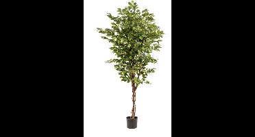 Emerald - Kunstboom Ficus Deluxe Vine 170cm - Kunstplant voor binnen