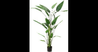 Emerald - Kunstplant Heliconia 175cm - Kunstplant voor binnen
