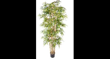 Emerald - Kunstplant Bamboe Deluxe 205cm - Kunstplant voor binnen