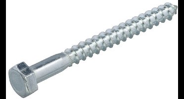 Hoenderdaal houtdraadbout gegalvaniseerd 7 x 120 mm din 571  - doos à 100 stuks