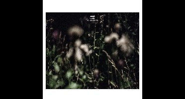 Anneli Drecker - Rocks & Straws (LP)