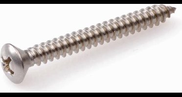 Hoenderdaal zelftappende plaatschroeven RVS A2 PH-2 lenskop 3,5 x 16 mm 200 stuks