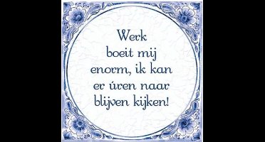 Delfts Blauw Tegel Werk Boeit 14,5cm