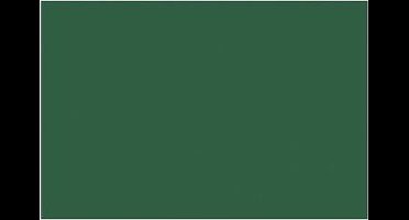 Fotokarton Folia donkergroen 50x70cm 300gr pak a 25 vel