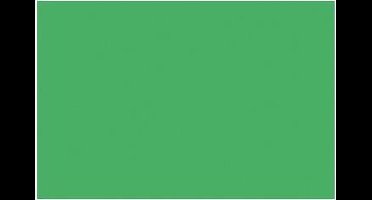 Tekenpapier Folia A4 smaragd - groen 130grs pak 100 vel