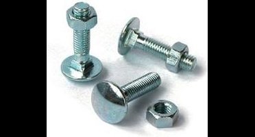 Slotbouten Verzinkt 10X110 Din 603/555 - 50 stuks