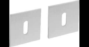 Intersteel Magneet rozet vierkant met sleutelgat rvs geborsteld