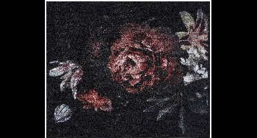 MD Entree - Deurmat - Schoonloopmat - Walk&Wash - Bella Rosa - 67 x 80 cm