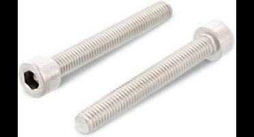 Cilinderschroef voldraad M6 x 16 ISO 4762 RVS A2-70 (200 stuks)