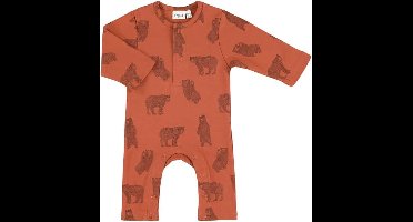 Trixie Baby onesie lang Brave Bear