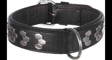 Trixie Halsband Hond Active Leer Met Applicaties Zwart