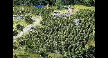 Faller - 36 Wijnstokken - modelbouwsets, hobbybouwspeelgoed voor kinderen, modelverf en accessoires