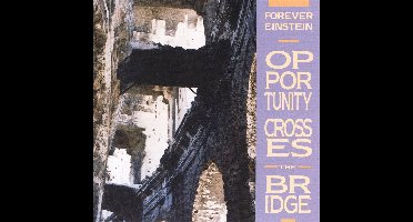 Opportunity Crosses The Bridge