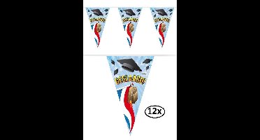 12x Vlaggenlijn Geslaagde10m