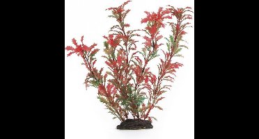 Beeztees Aqua Plant 86051R - Aquariumdecoratie - Plastic
