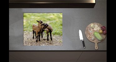 Inductieplaat Beschermer - Bruin met Zwarte Kussende Lammetjes - 60x51 cm - 2 mm Dik - Inductie Beschermer - Bescherming Inductiekookplaat - Kookplaat Beschermer van Zwart Vinyl