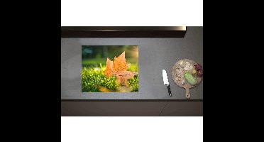 Inductieplaat Beschermer - Bruin Herfstblad op Groen Gras met Zonnestraal - 60x50 cm - 2 mm Dik - Inductie Beschermer - Bescherming Inductiekookplaat - Kookplaat Beschermer van Wit Vinyl