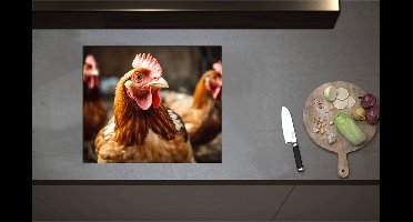 Inductieplaat Beschermer - Bruine hanen staan buiten in de kippen ren - 60x51 cm - 2 mm Dik - Inductie Beschermer - Bescherming Inductiekookplaat - Kookplaat Beschermer van Wit Vinyl