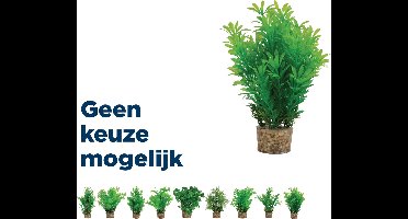 Zolux Kunstplanten Op Grind - Aquarium - Kunstplant - Groen per stuk Medium