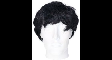 Rubies Verkleedpruik voor heren - zwart - Seventies/popster/sixties/surfboy - Carnaval - kort haar